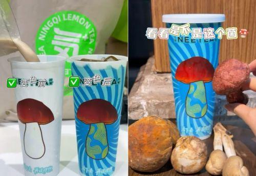 饮品报 饮品新媒体 yinpinbao.cn