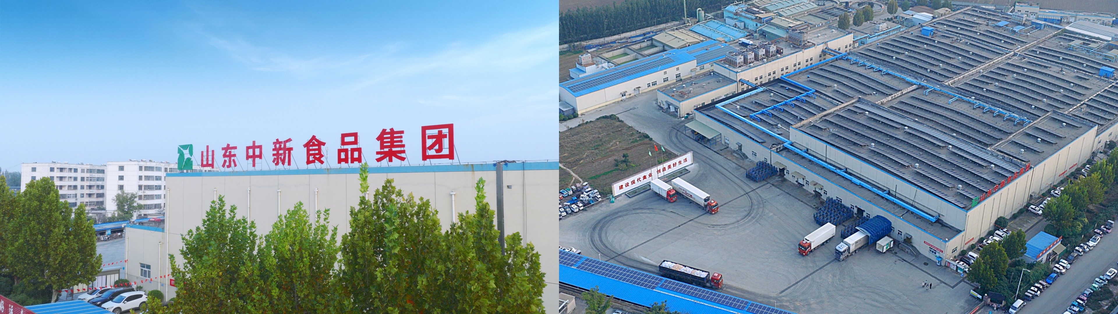 软文图片03.jpg